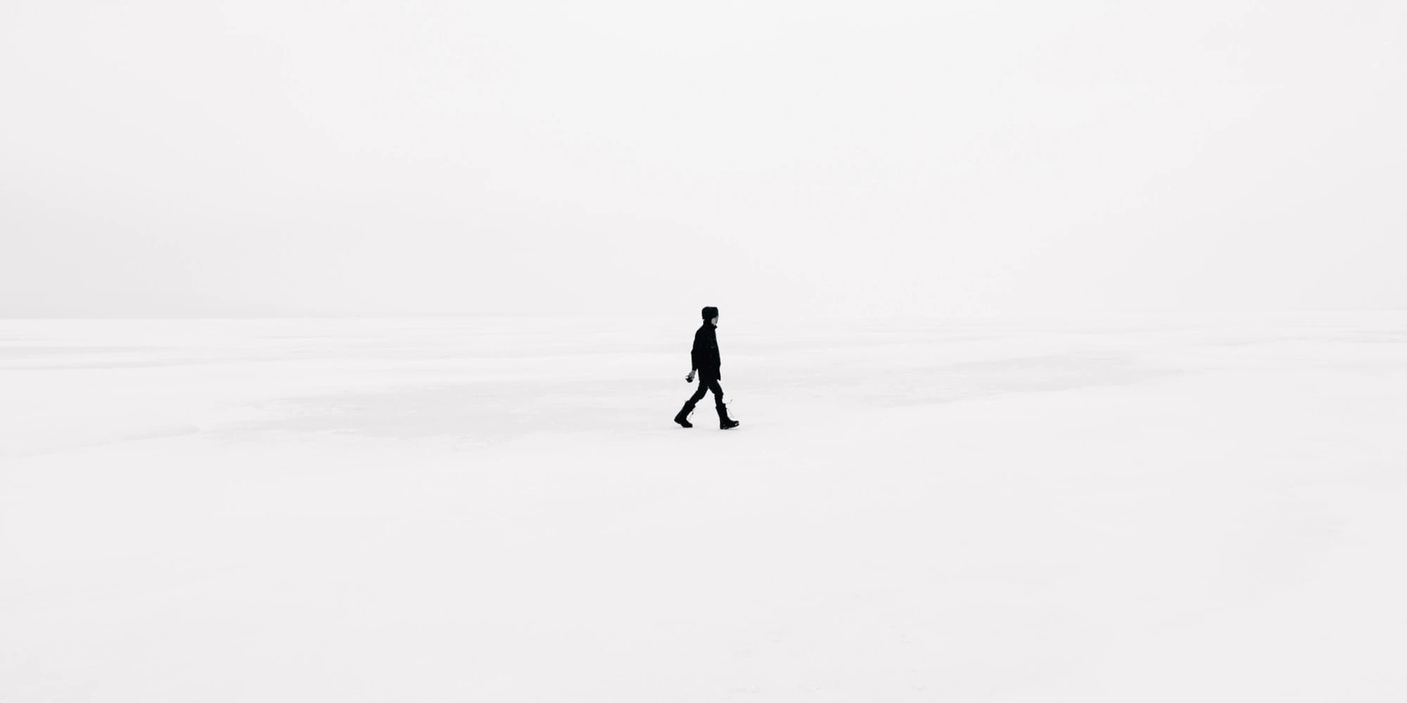 Cover Image for Do data science teams need front-end engineers?